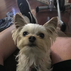 Meet your Posher, Robert